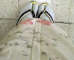 081112a.JPG