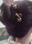 090111e.JPG