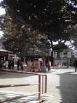 P1000666.JPG