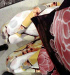 091114d.JPG