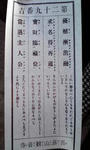 100207a.JPG