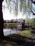 100408a.JPG