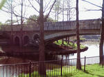 100408b.JPG