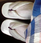 100613d.JPG