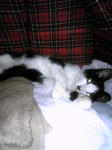 101103_184746.jpg