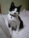 P1001201.JPG