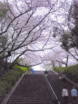 110409_125537.jpg