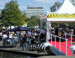 CA391478.JPG