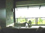 ebd91efc.jpg
