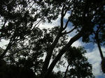 88d458eb.jpg