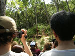 RIMG0993.JPG