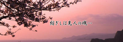 p20_01.jpg