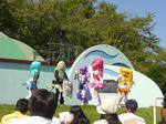 f05ee01a.JPG