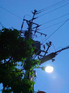 20070627193123.jpg