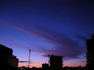 01.jpg