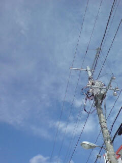20080306122229.jpg