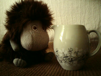 20090616102115.jpg