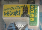 458f6d58.jpg
