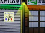 1301110236-1.JPG