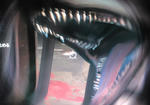 SN3S4839.JPG