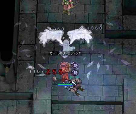 284dfcf8.jpg