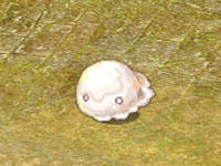ss_01s.jpg