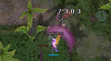 2feb21f7.JPG
