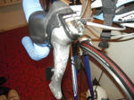 DSCN0968.JPG
