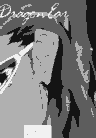 es211.gif