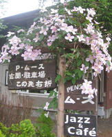 080602a.jpg