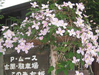 080602b.jpg