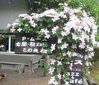 811fa8f2.jpg