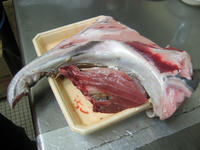 メバチマグロのカマ