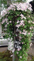 DSC00503.jpg