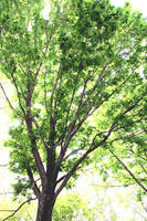 nara_2012B.jpg