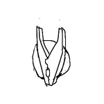 s0002.png