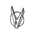 s0005.png