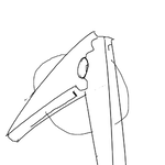 s0038.png