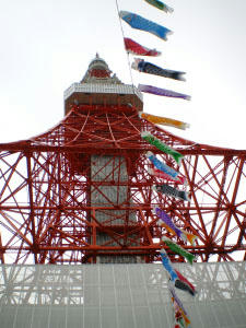s038.jpg