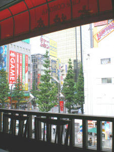 s051.jpg