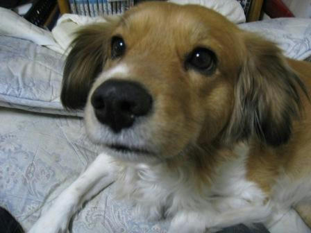 toto_220209.JPG