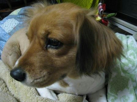 toto_110308.JPG