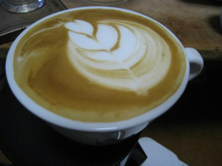 tulip_110408.JPG