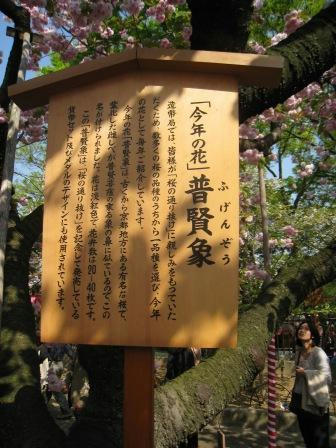 zouheikyoku_hugennzou_210408.JPG