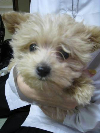 momo_200408.JPG