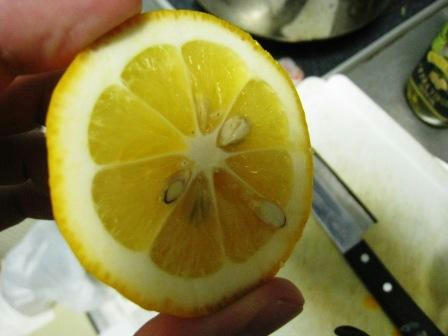 lemon_260808.JPG