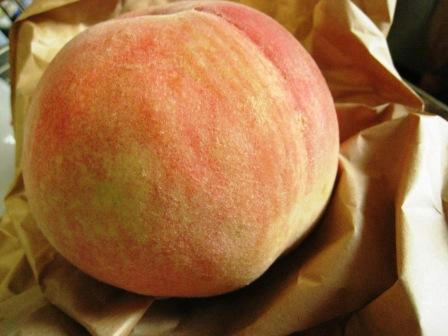 peach_020908.JPG