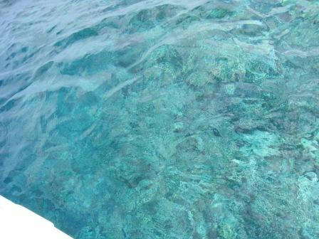clear_blue_231008.JPG