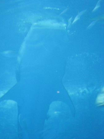 jinbei_241008.JPG