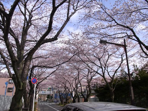 9d55a4d0.jpg